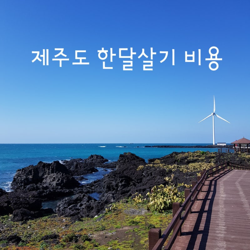 🔹 여행 제주도 한달 살기: 예측 가능성과 집구하기 팁