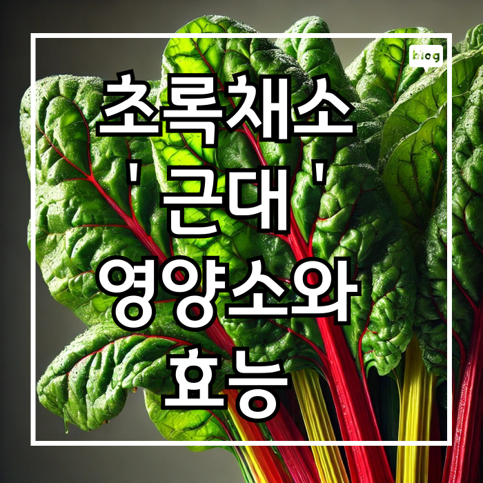 근대가 이렇게 좋다니! 건강을 지키는 초록 채소 근대의 비밀, 근대 효능,영양,보관방법