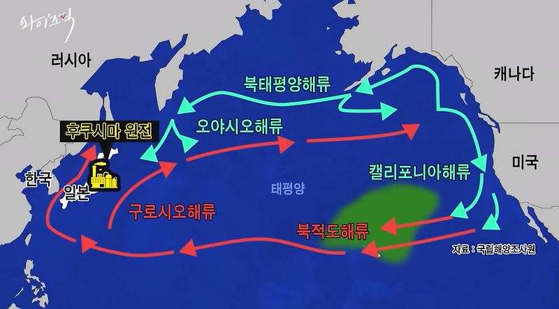 日 오염수 한국 도달 시기 왜 '제각각'?…구로시오 해류 '변수'