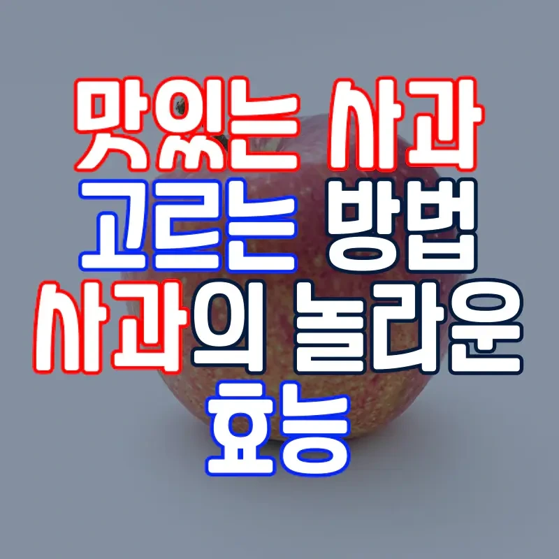 맛있는 사과 고르는 방법과 사과의 효능 - 소미파파의 …