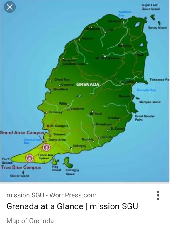 St, University, Medical School in Grenada