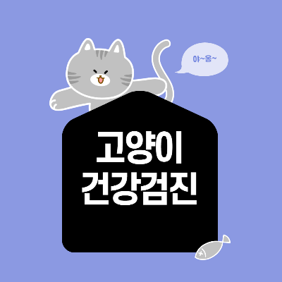 고양이 건강검진 비용. 항목. 2차 동물병원은 정말 더 좋을까?