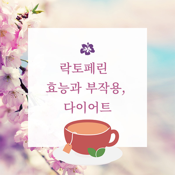 락토페린 효능과 부작용, 다이어트