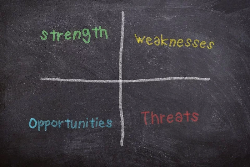 내부환경 분석 : 가치사슬(Value chain)분석,  SWOT 분석 전략