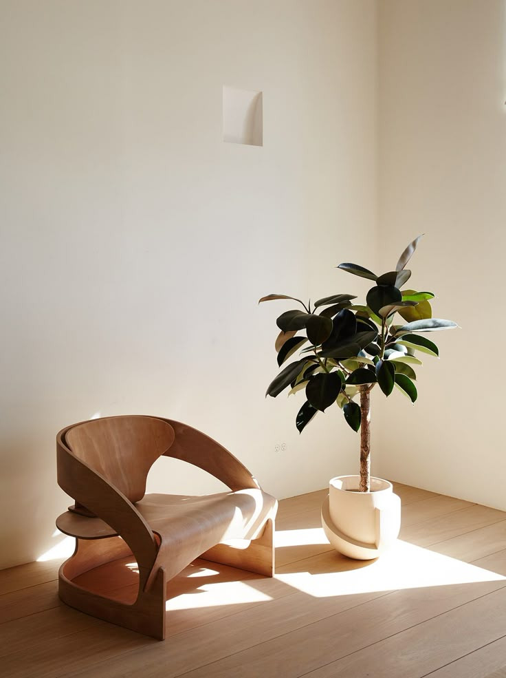 플랜테리어(Plant + Interior)로 자연을 담은 공간 만들기