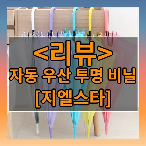 자동 우산 투명 비닐 추천
