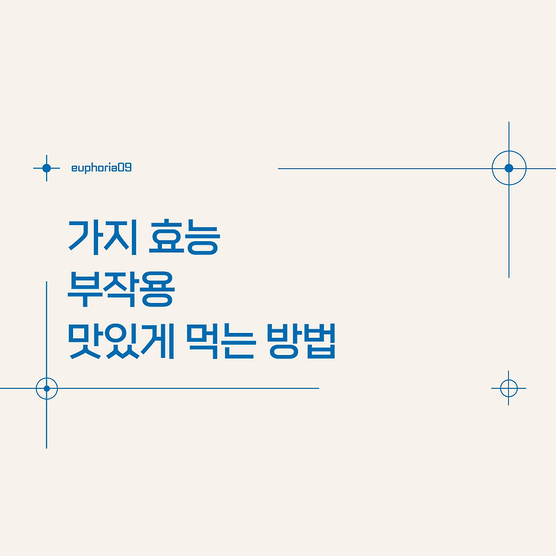 가지 효능 부작용 맛있게 먹는 방법