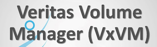 vxdctl, hastatus, vxclustadm, gabconfig, vxdisk, vxprint, lltconfig, vxtask, Infoscale, Veritas, VxVM