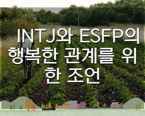 INTJ와 ESFP의 행복한 관계를 위한 조언