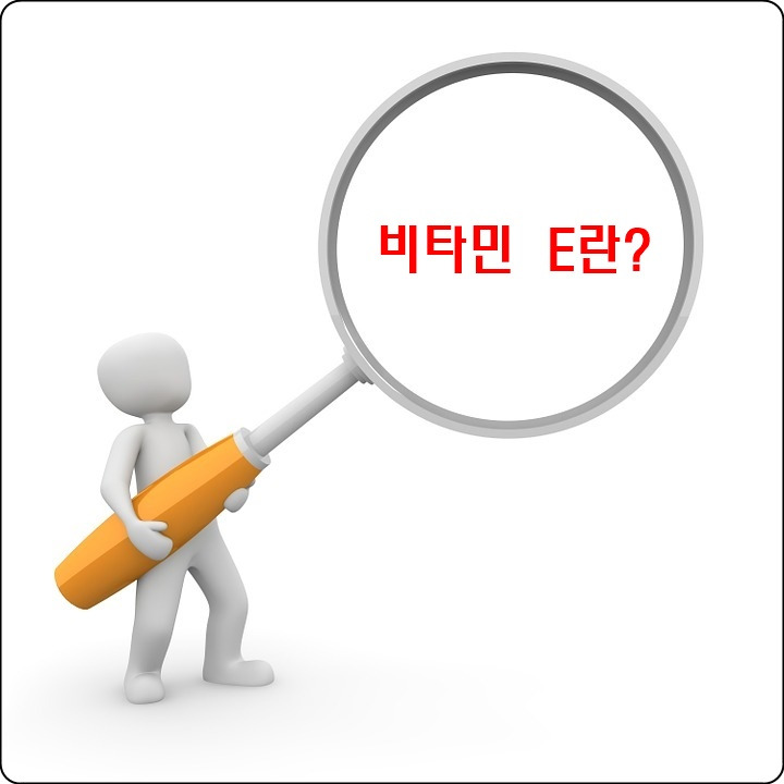 비타민E 효능 및 부작용과 음식, 권장량(결핍증, 과다) : 섭취기준 7