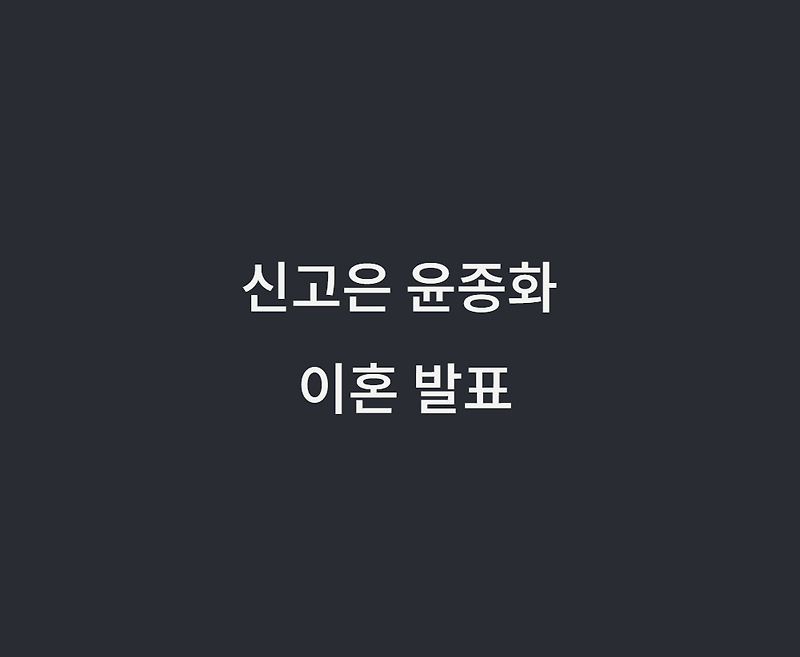 배우 신고은 SNS 통해 윤종화와 이혼 발표 (결혼 3년 만)