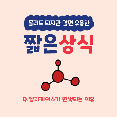 짧은상식 : 투명 젤리 케이스가 변색되는 이유