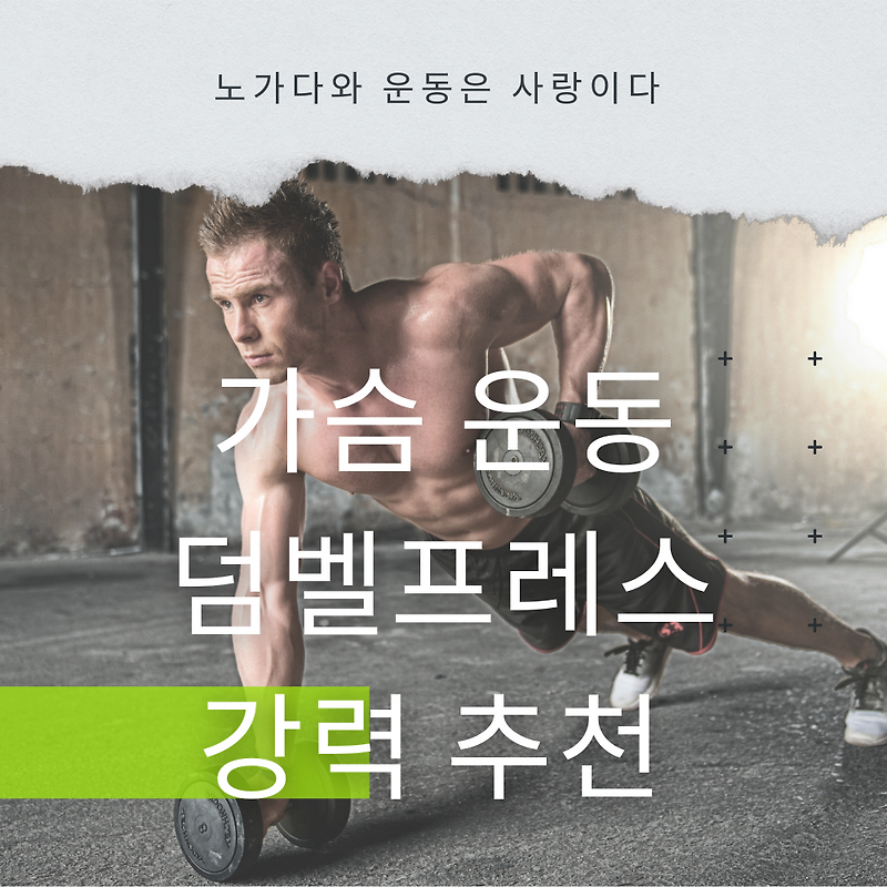 가슴운동 덤벨프레스 운동 방법과 추천하는 이유