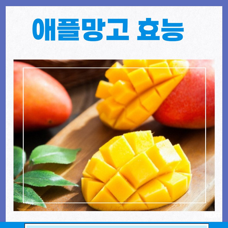 애플 망고 효능 칼로리 부작용 망고주스