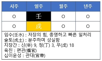 [사주명리] 임술일주(壬戌日柱)