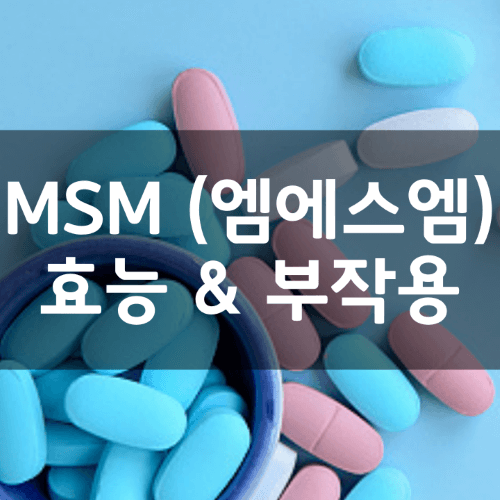 엠에스엠 MSM 식이유황이란 무엇이며 효능 부작용 및 복용법부터 가격 총정리