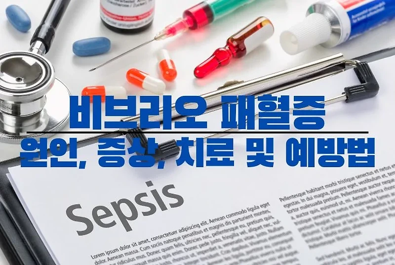 비브리오 패혈증 원인, 증상, 치료 및 예방법 :: 건강 요모조모