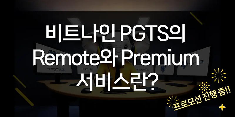 비트나인 PGTS의 Remote와 Premium 서비스란?