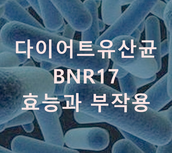 BNR17 유산균 효능 부작용 먹는방법 알아보기