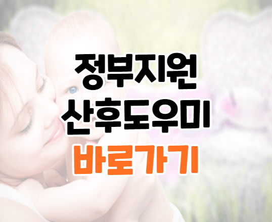 2021년 정부지원 산후도우미 서비스 가격 및 인터넷 신청 - 생활정보 꿀팁