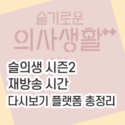 슬기로운 의사생활 시즌2 재방송 시간, 다시보기 (넷플릭스, 티빙 ...