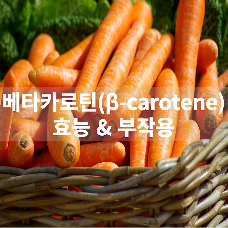 베타카로틴(βcarotene) 효능 및 부작용, 복용 방법