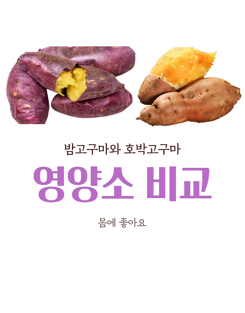 찐 호박고구마와 찐 밤고구마 영양성분 비교
