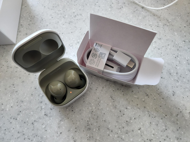 삼성 갤럭시 버즈2 'SM-R177' 6개월 사용기 (samsung galaxy buds2)