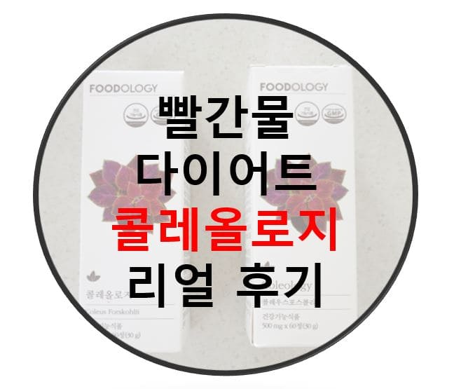 콜레올로지 내돈내산 다이어트 후기