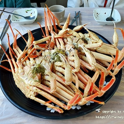 포항 구룡포 대게 직판장 가성비 좋았던 내돈 후기