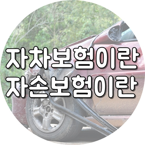 자차보험이란 ? 자손보험이란 ? :: 하루에5분