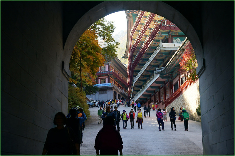 가을을 만끽한 구인사(단양) .... 2014.10.26