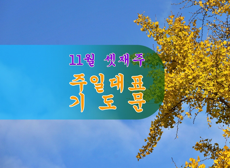 11월 셋째주 주일대표기도문(추수감사절)