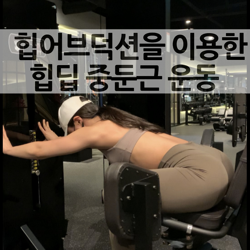 힙 어브덕션 머신 활용으로 힙딥 운동 중둔근 운동 가즈아