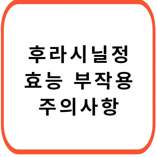 후라시닐정 부작용 효능 성분 복용법 및 주의사항 완벽하게 정리했습니다.