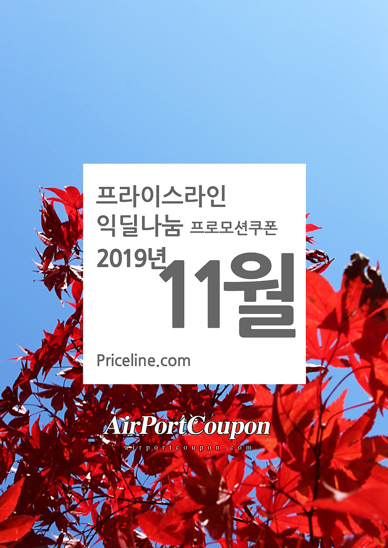 프라이스라인 11월 익딜쿠폰 크리스마스 할인코드 10 off Priceline Express Deals 2019