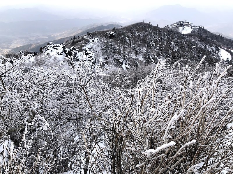 겨울산 눈꽃여행 국내 명소 베스트 3