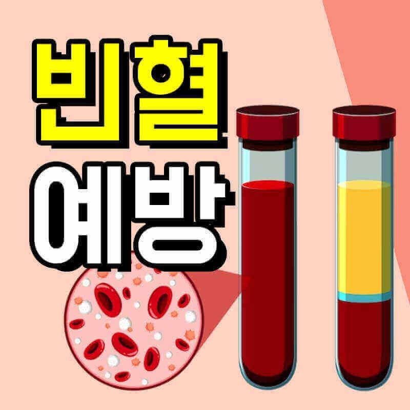 빈혈 증상 빈혈에 좋은 음식 예방
