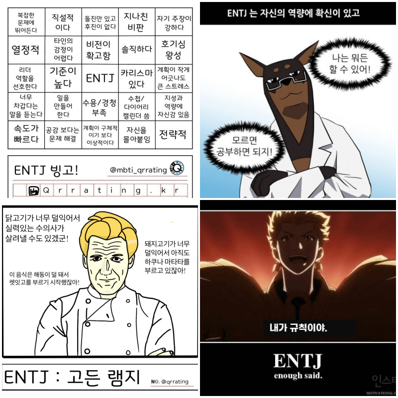 MBTI:ENTJ 특징, 연애, 궁합, 짤, 밈, ENTJ 남자, ENTJ 여자, 엔티제 특징, 엔티제 연애