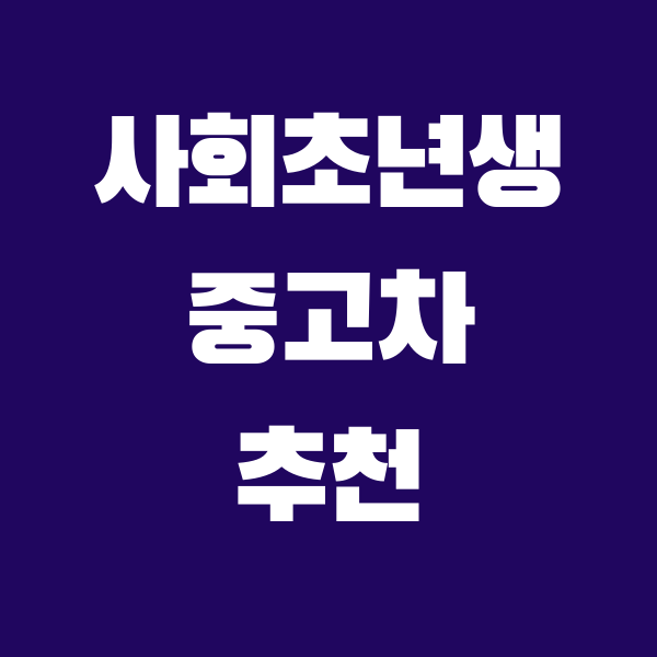 사회초년생 중고차 추천, 직거래 사이트 등 완벽정리 - 타지마할의 인포나라