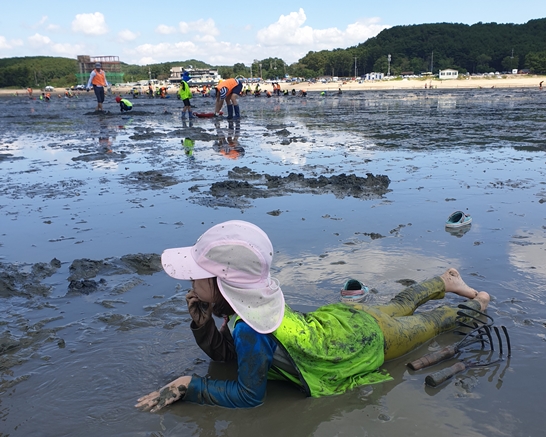 인천 가볼만한곳 마시안갯벌체험 100% 즐기는 방법