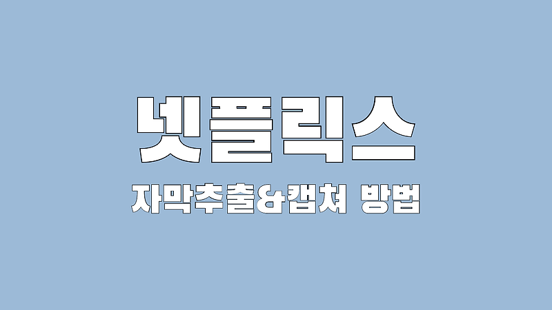 넷플릭스에서 자막 추출과 화면 캡쳐 방법