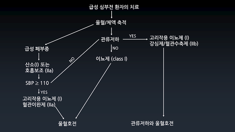진단 알고리즘의 허망함에 관하여 (flow diagram, algorithm별로 안 좋아합니다)