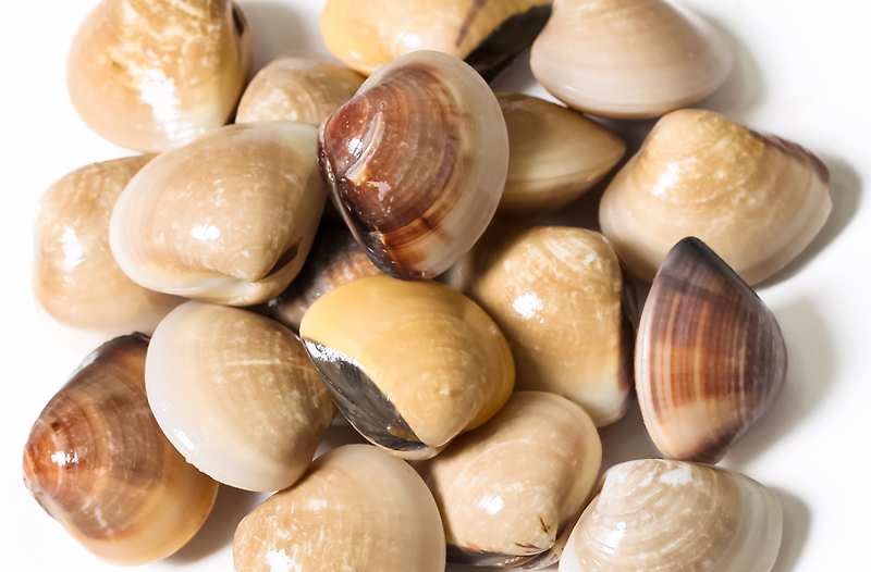 Benefits and side effects of clams