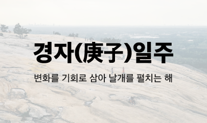 [사주] 2025년 을사년 경자일주의 운세 / 경자일주 신년운세와 조언