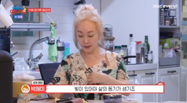 <b>박해미</b> 남편 프로필 아들 <b>황성재</b> 임성민 전남편 이혼 황민 나이... 