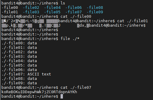 리눅스 명령어 / file 명령어 - 파일 종류 확인하기 :: 해커를 꿈꾸는 개발자