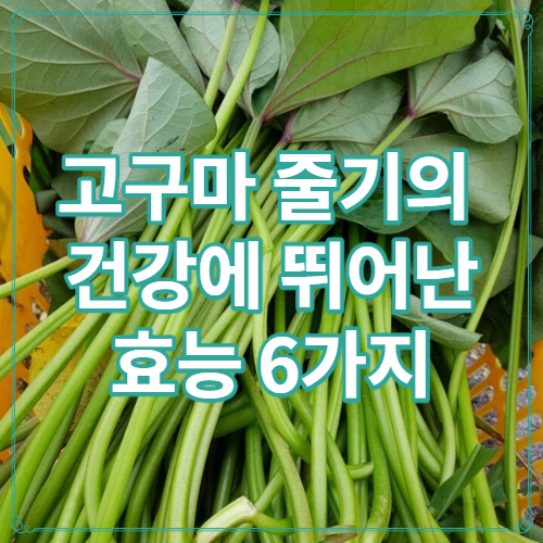 고구마줄기 효능, 몸 건강에 뛰어난 효능 6가지