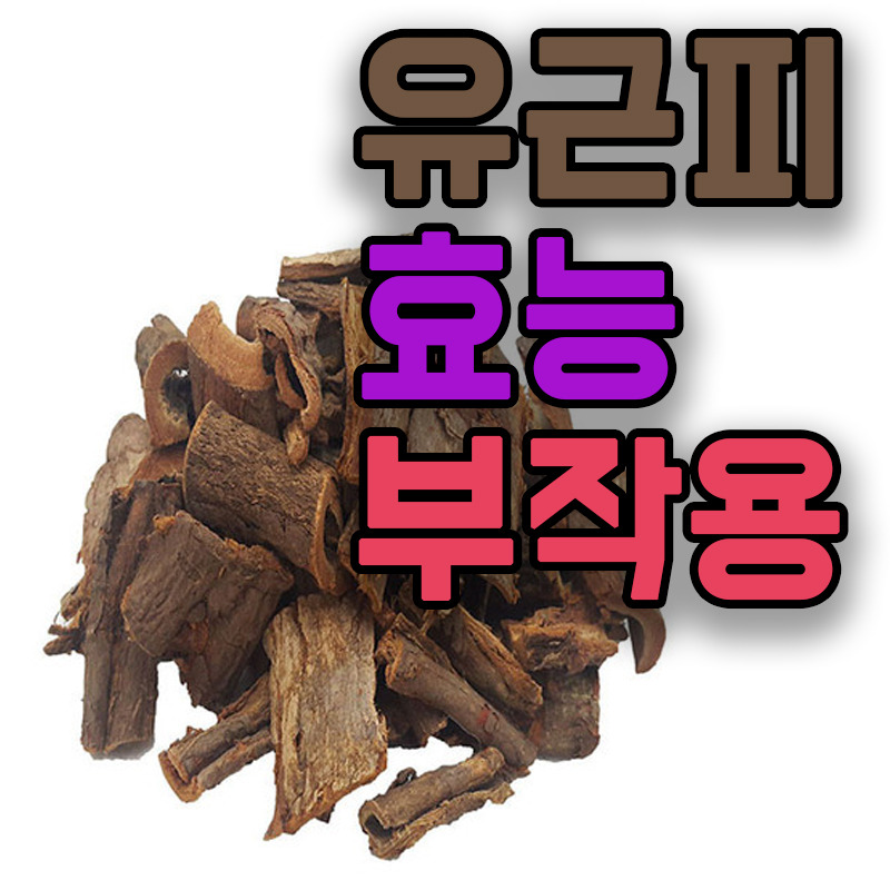 유근피 효능과 부작용