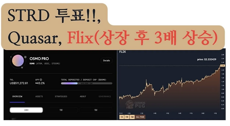 STRD, Quasar, FLix 프로젝트 간단리뷰